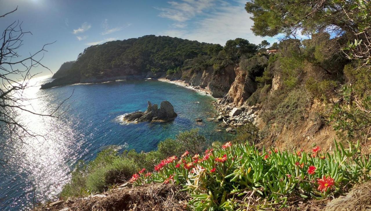 Studio Residence Bona, Vue Hippodrome Et Mer, Clim Hyeres Luaran gambar